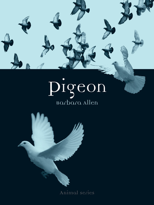 Title details for Pigeon by Barbara Allen - Available